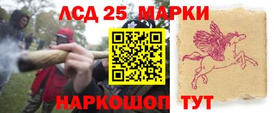 тгк Можга