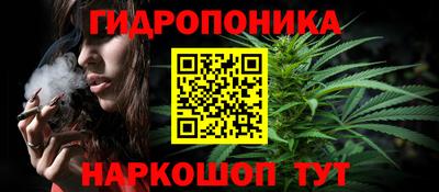 тгк Можга