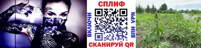 Марихуана Bruce Banner  Пыть-Ях 